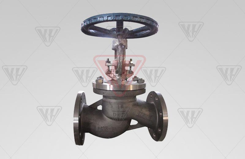 Zirconium globe valve